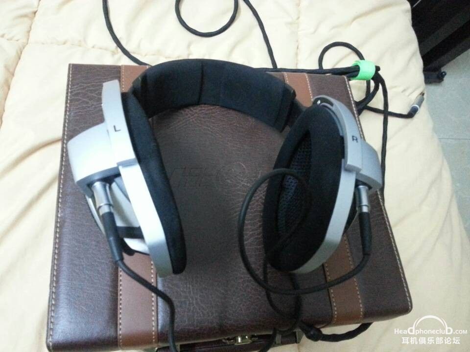 HD800.jpg