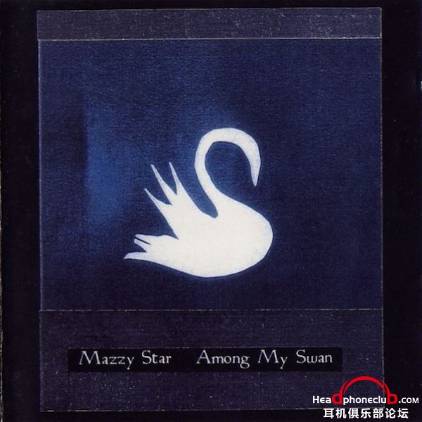 5.-amon-my-swan-sombre.jpg