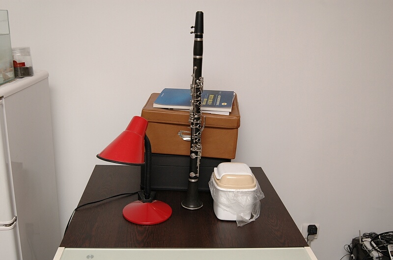 beijing 21 - hu oboe.jpg