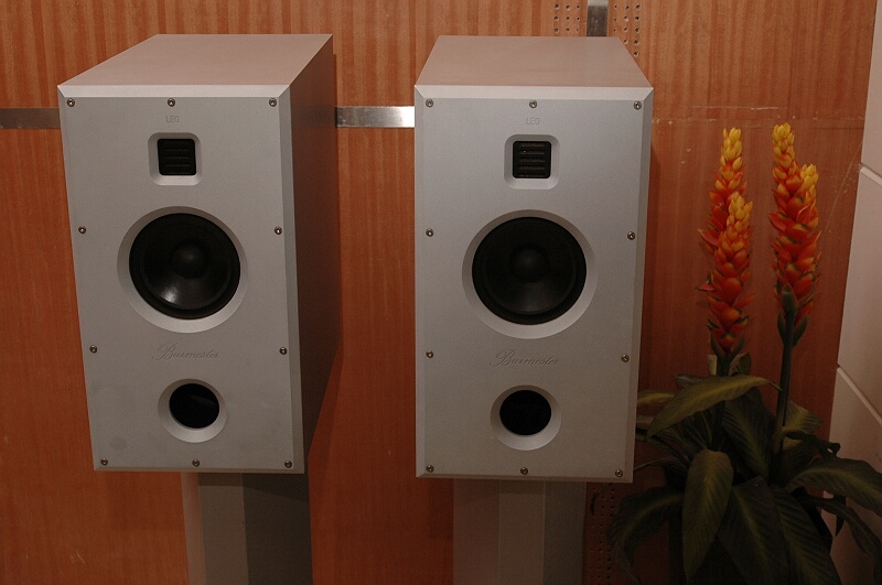 beijing 44 - haiyi burmester speaker leo.jpg