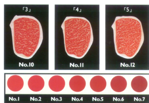 marbling_r2_c2.jpg