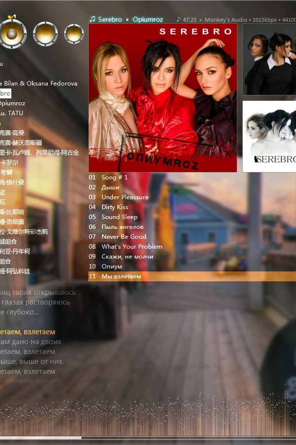 Foobar2000.Aero.SDK Big-Cover Version - 3.Zoom1.jpg