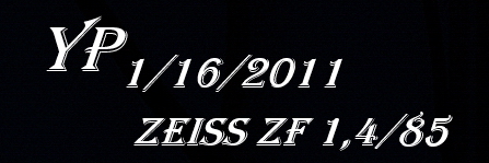 _YP 1-16-2011 ZF1,4-85.jpg